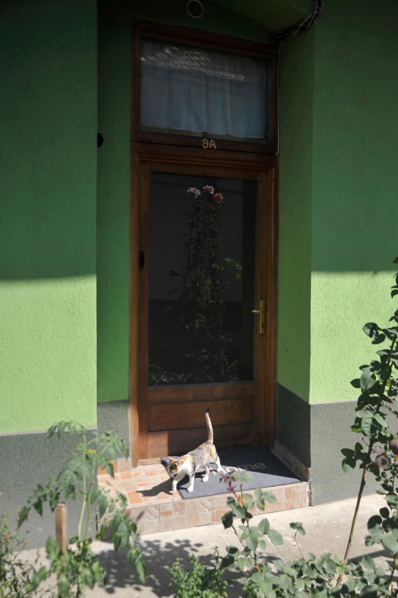 Atu Central Apartment Cluj-Napoca Extérieur photo